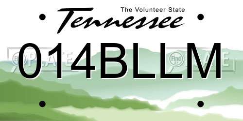 014BLLM Tennessee License Plate