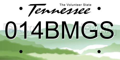 014BMGS Tennessee License Plate