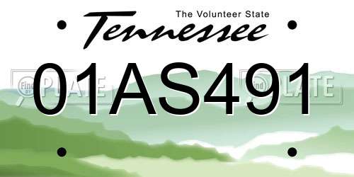 01AS491 Tennessee License Plate
