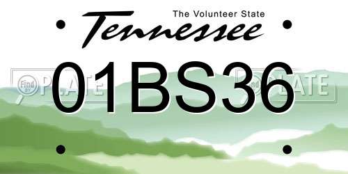 01BS36 Tennessee License Plate