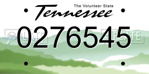 0276545 Tennessee License Plate