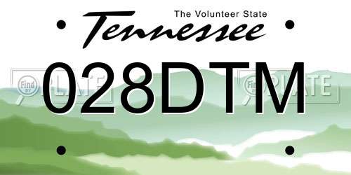028DTM Tennessee License Plate