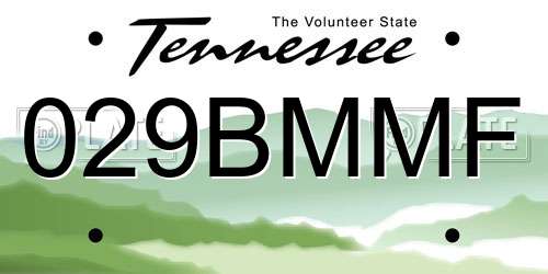 029BMMF Tennessee License Plate