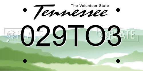 029TO3 Tennessee License Plate