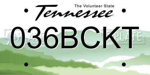 036BCKT Tennessee License Plate