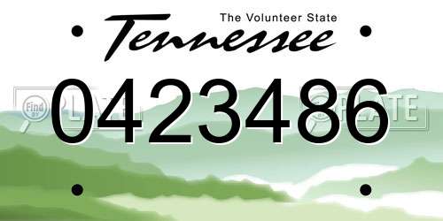 0423486 Tennessee License Plate