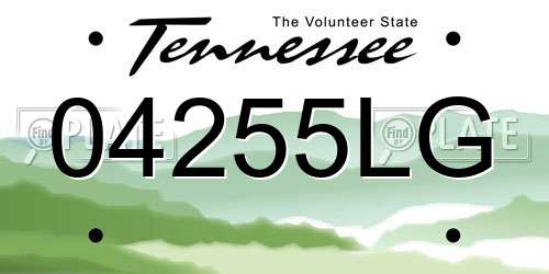 04255LG Tennessee License Plate
