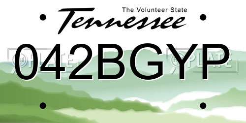 042BGYP Tennessee License Plate