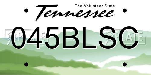 045BLSC Tennessee License Plate
