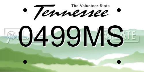 0499MS Tennessee License Plate