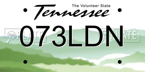 073LDN Tennessee License Plate