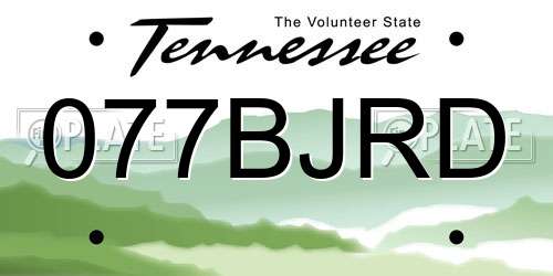 077BJRD Tennessee License Plate