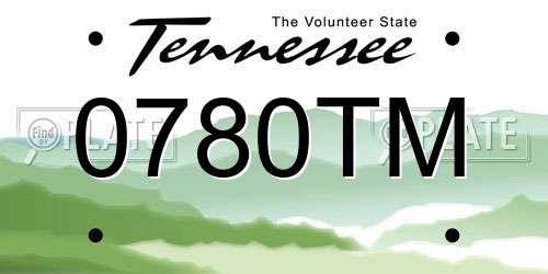 0780TM Tennessee License Plate