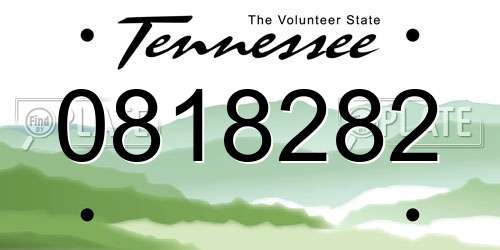 0818282 Tennessee License Plate
