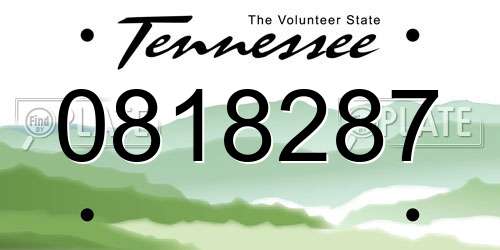 0818287 Tennessee License Plate