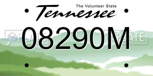 08290M Tennessee License Plate