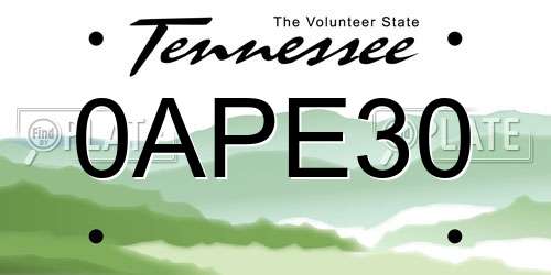 0APE30 Tennessee License Plate