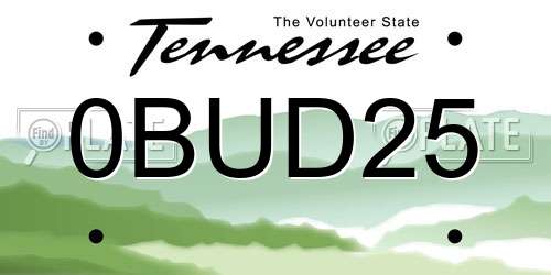 0BUD25 Tennessee License Plate