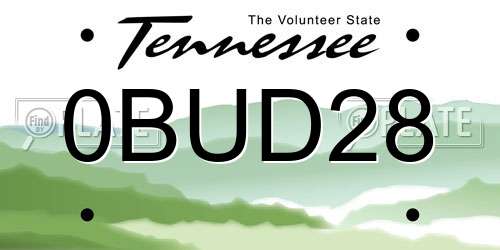 0BUD28 Tennessee License Plate