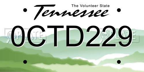 0CTD229 Tennessee License Plate