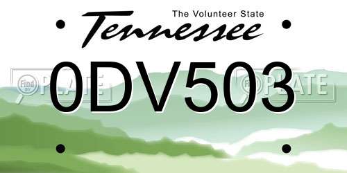 0DV503 Tennessee License Plate