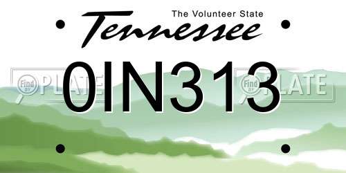 0IN313 Tennessee License Plate