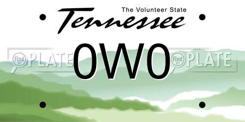 0W0 Tennessee License Plate