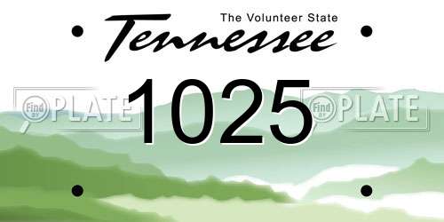 1025 Tennessee License Plate