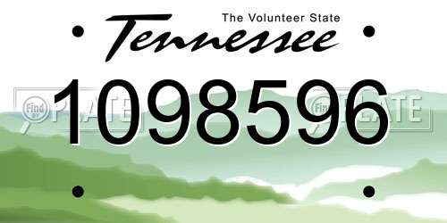 1098596 Tennessee License Plate