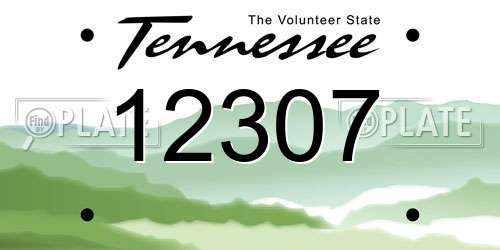 12307 Tennessee License Plate