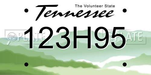 123H95 Tennessee License Plate