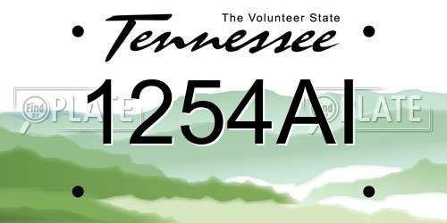 1254AI Tennessee License Plate