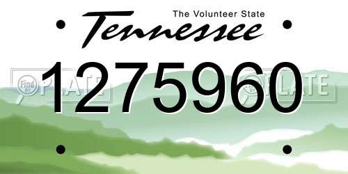 1275960 Tennessee License Plate