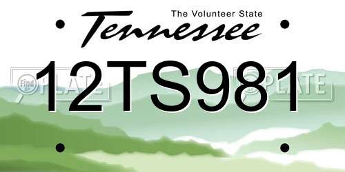 12TS981 Tennessee License Plate