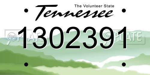 1302391 Tennessee License Plate