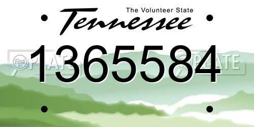 1365584 Tennessee License Plate
