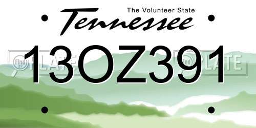 13OZ391 Tennessee License Plate