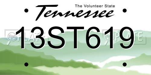 13ST619 Tennessee License Plate