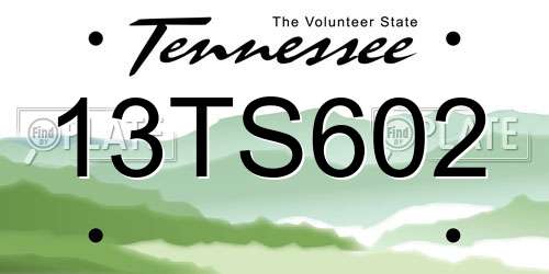 13TS602 Tennessee License Plate