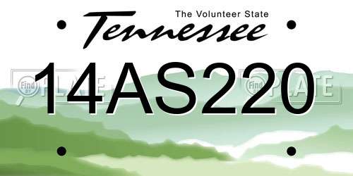 14AS220 Tennessee License Plate