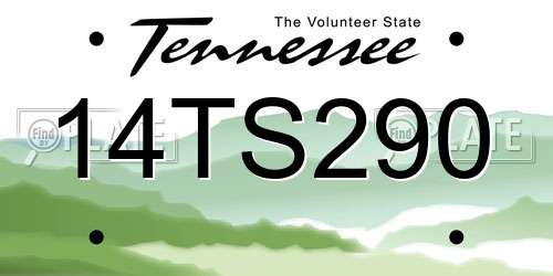14TS290 Tennessee License Plate