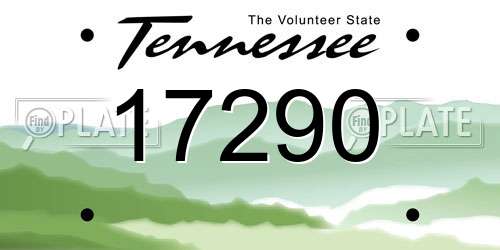 17290 Tennessee License Plate