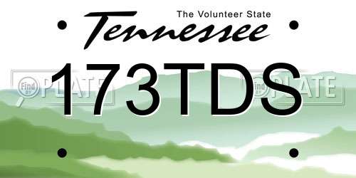 173TDS Tennessee License Plate