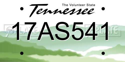17AS541 Tennessee License Plate