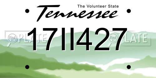 17II427 Tennessee License Plate