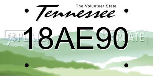 18AE90 Tennessee License Plate