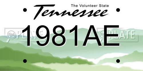 1981AE Tennessee License Plate