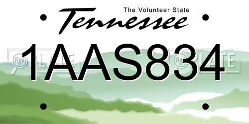 1AAS834 Tennessee License Plate