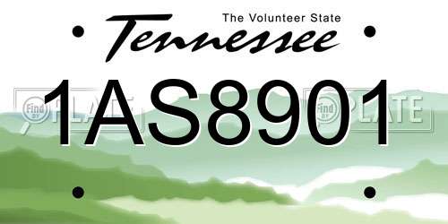 1AS8901 Tennessee License Plate