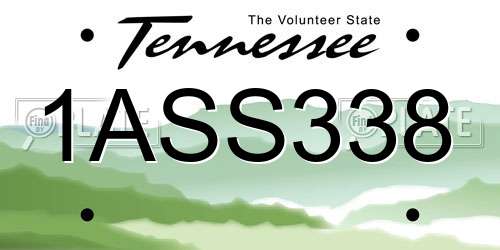 1ASS338 Tennessee License Plate